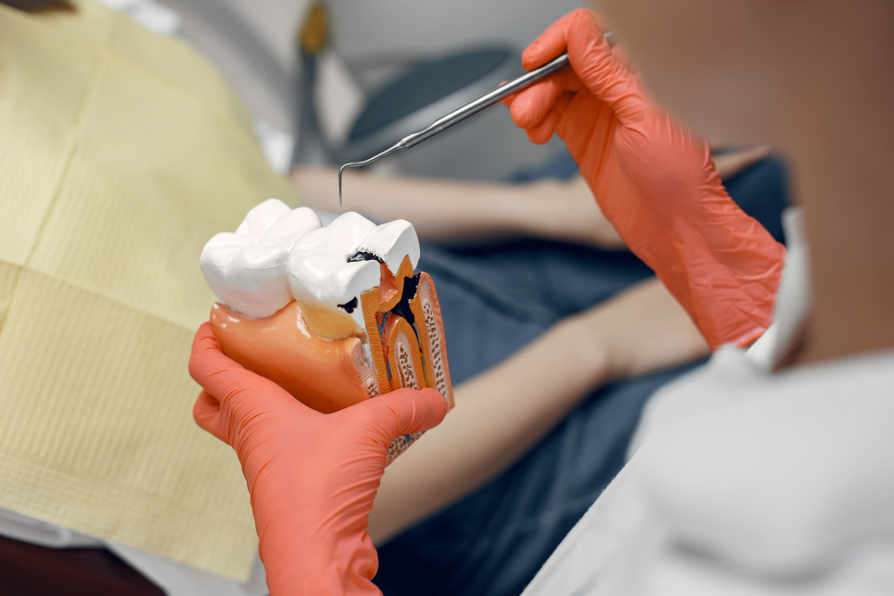 Root Canal Therapy: Myths & Facts | Roots Dental Care